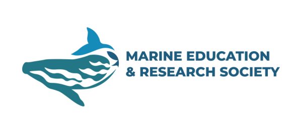 Whale Art Pack - Image 14