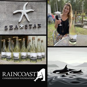 Sea Star Vineyards & J35