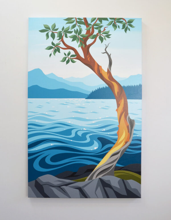 Western Madrone - Image 3